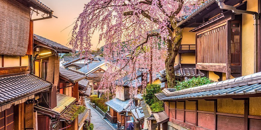 Körsbärsblomma i Higashiyama-distriktet i Kyoto