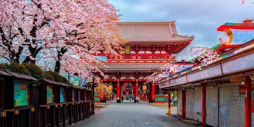 Sakura vid Sensoji-ji-templet i Tokyo