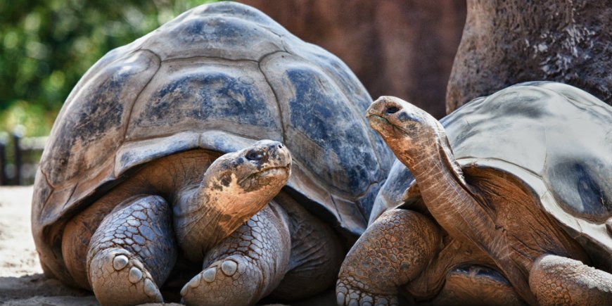 Ecuador - Galápagos