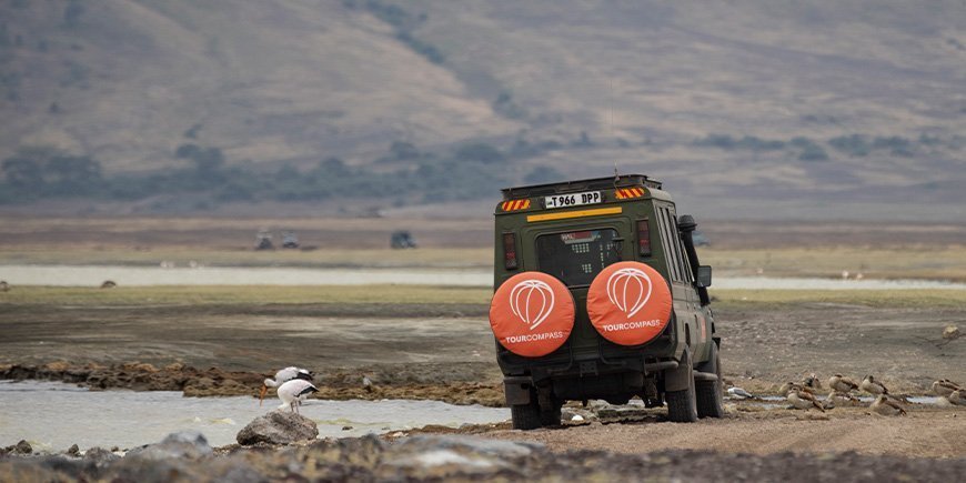 TourCompass jeep i Ngorongoro-kratern i Tanzania