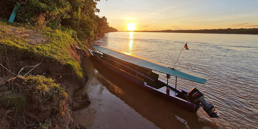 Båt på flod i Amazonas regnskog