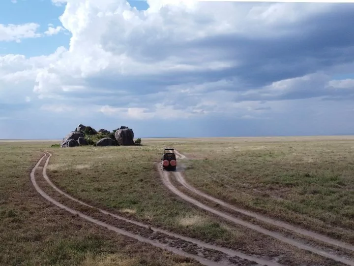 Natur och safari i norra Tanzania