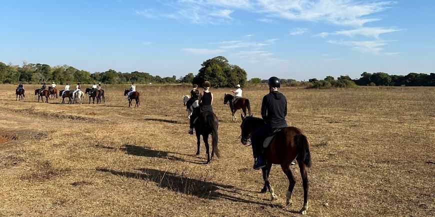 Ridning på hästryggen i Pantanal i Brasilien