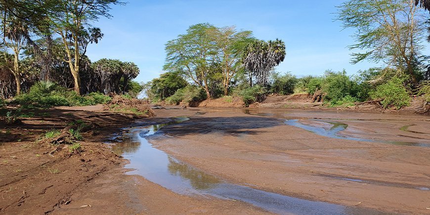 Tsavo west i mars