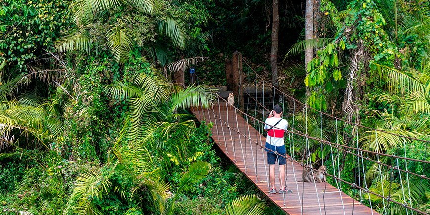 Man på bro i Khao Yai nationalpark