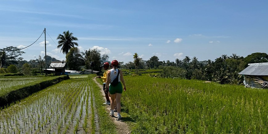 Vandring i risfält på Bali