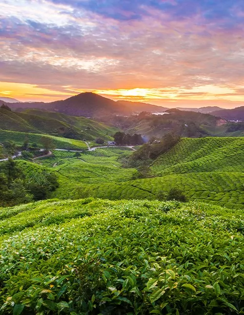 Malaysias höjdpunkter & solsemester på Langkawi