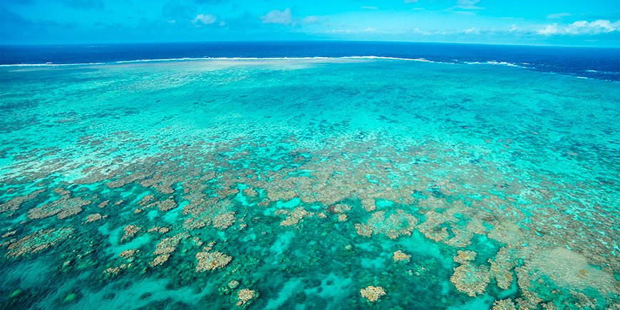 Utsikt över Stora barriärrevet nära Cairns, Australien