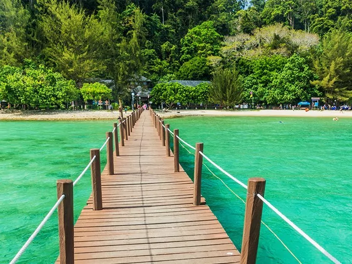 Djurvliv, Mt. Kinabalu-vandring & solsemester på Gaya Island